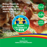 PUI
